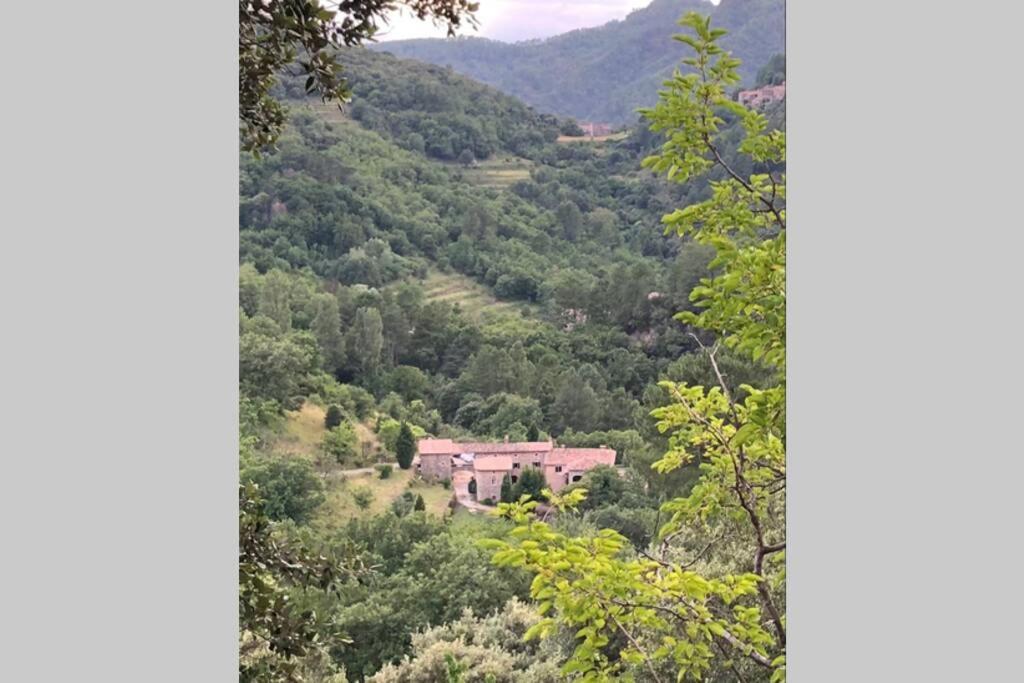 Mas Historique Du Xve Cevennes Βίλα Saint-Paul-la-Coste Εξωτερικό φωτογραφία